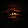 orange moon light