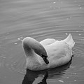 01122024dsc0225
