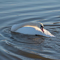 01172024dsc0448